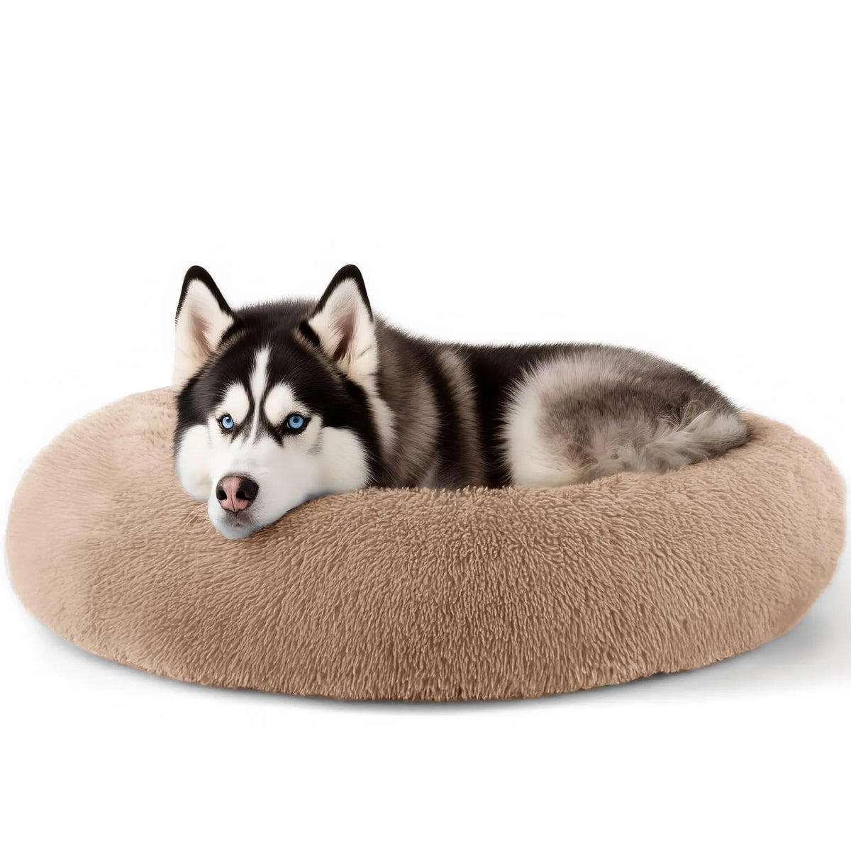 Hoewina 20In Calming Donut Bed for Indoor Cats & Small Dogs, Washable round Fluffy Pet Bed for Puppy and Kitten, Light Grey