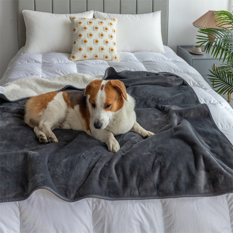 Washable Pet Throw Blanket