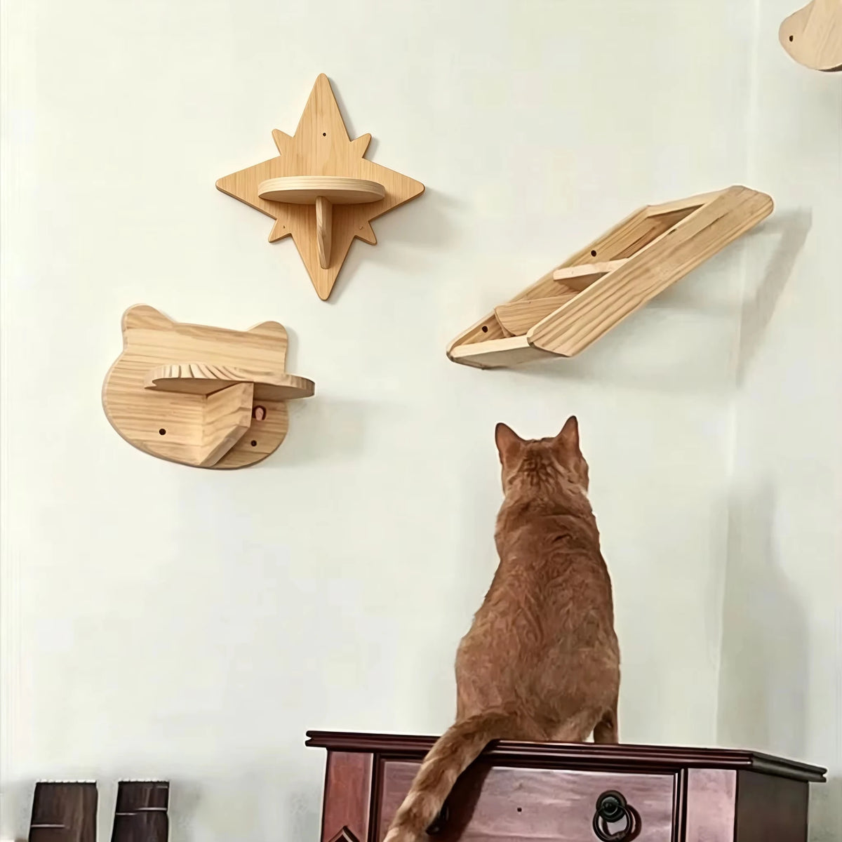 Wall Mounted Cat Shelves Set Moon Shape Hammock Star Perches Climbing Steps Cat Furniture for Kitten Cats Indoor Rest Playing Sleeping