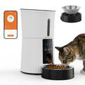 Cat beside the WiFi automatic pet feeder