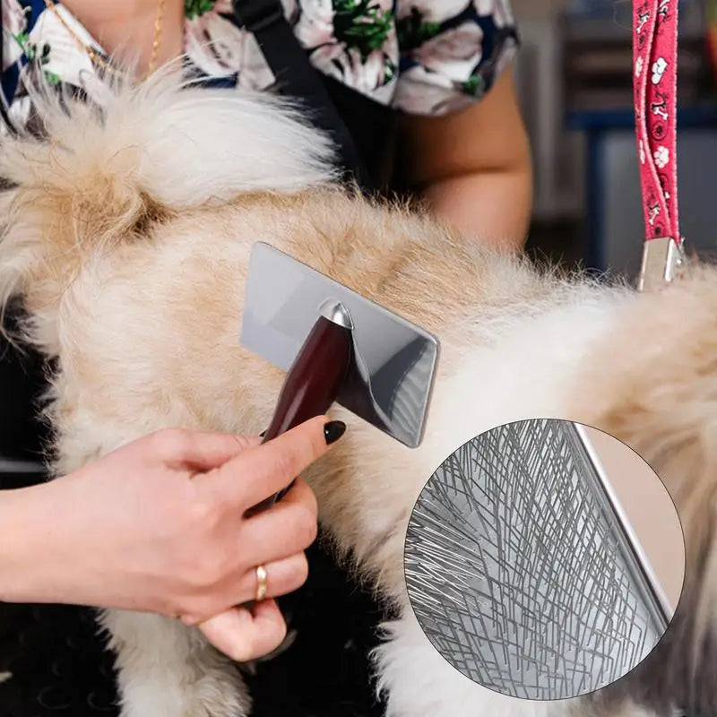 Brushing a dog's coat with the slicker brush