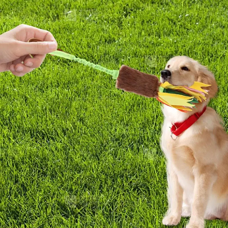 Dog Toy Rope Fun Squeaky Dog Chew Toys Pet Supplies Puppy Rope Toy with Elastic Drawstring Interactive Puppy Teething Toy For
